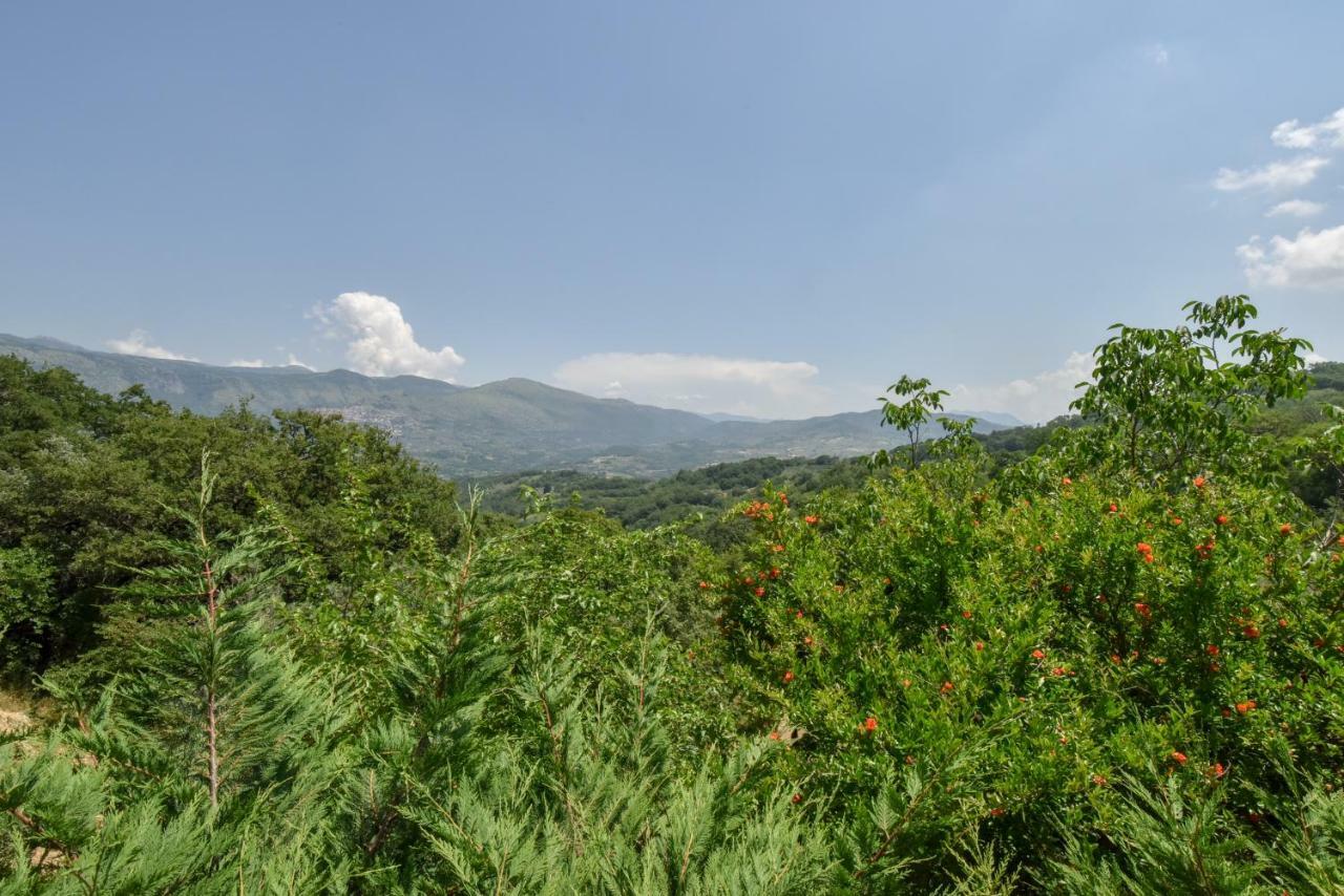 Agriturismo L'Antico Casolare Castelcivita Εξωτερικό φωτογραφία